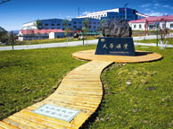 玉树天华矿业集团