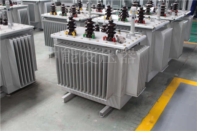 玉树S22-250KVA/10KV变压器